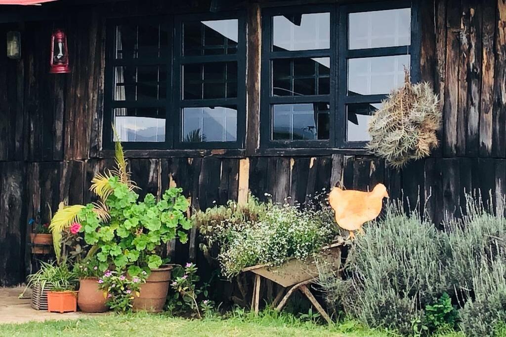 The Barn By Yourhost,nanyuki Kenya Willa Nanyuki